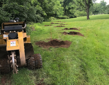 Hole digging in Worcester Township, PA. Preparing property for planting.